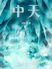 中天免费阅读