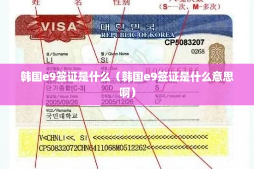 韩国e9签证是什么（韩国e9签证是什么意思啊）