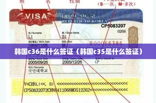 韩国c36是什么签证（韩国c35是什么签证）