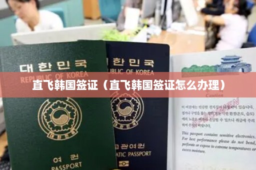 直飞韩国签证（直飞韩国签证怎么办理）