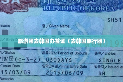 旅游团去韩国办签证（去韩国旅行团）