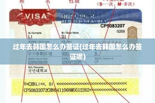 过年去韩国怎么办签证(过年去韩国怎么办签证呢)