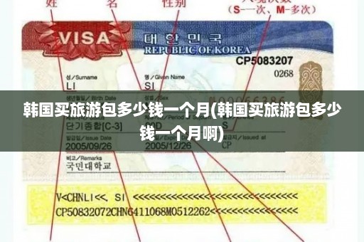 韩国买旅游包多少钱一个月(韩国买旅游包多少钱一个月啊)