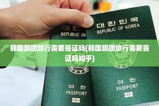 韩国跟团旅行需要签证吗(韩国跟团旅行需要签证吗知乎)