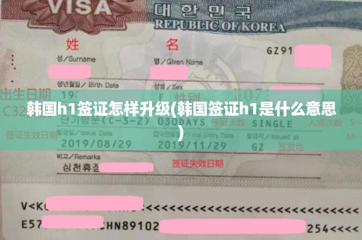 韩国h1签证怎样升级(韩国签证h1是什么意思)