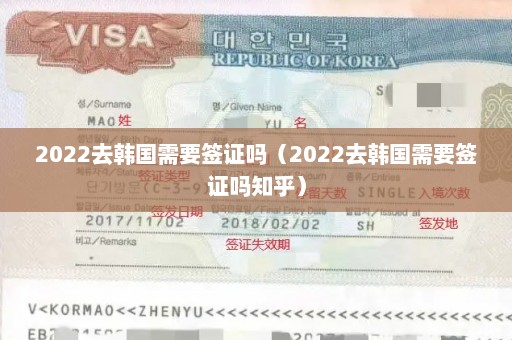 2022去韩国需要签证吗（2022去韩国需要签证吗知乎）