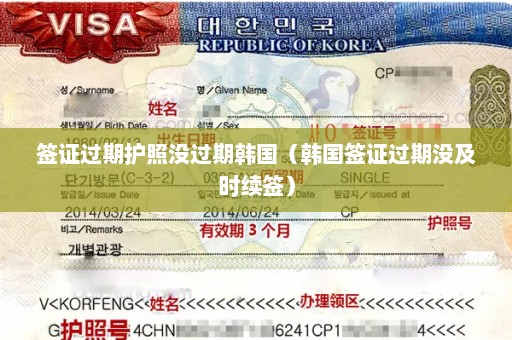 签证过期护照没过期韩国（韩国签证过期没及时续签）