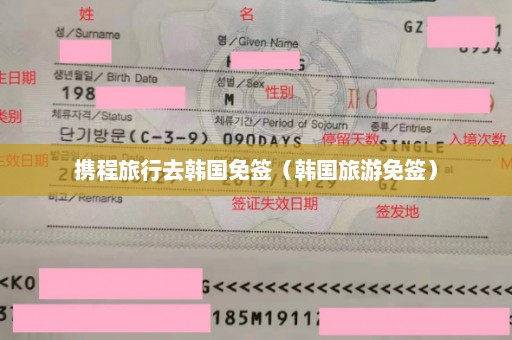携程旅行去韩国免签（韩国旅游免签）