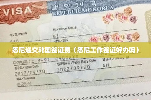 悉尼递交韩国签证费（悉尼工作签证好办吗）