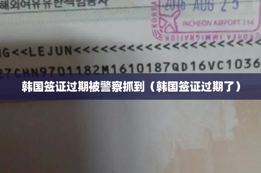 韩国签证过期被警察抓到（韩国签证过期了）
