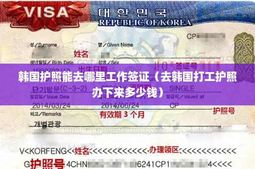 韩国护照能去哪里工作签证（去韩国打工护照办下来多少钱）