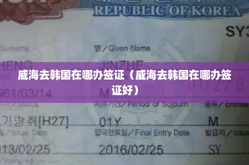 威海去韩国在哪办签证（威海去韩国在哪办签证好）