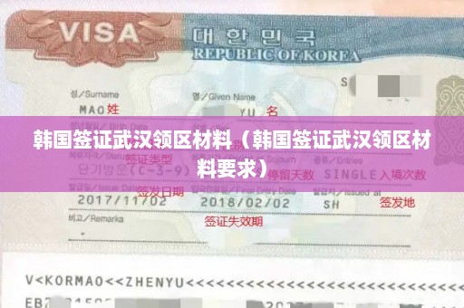 韩国签证武汉领区材料（韩国签证武汉领区材料要求）