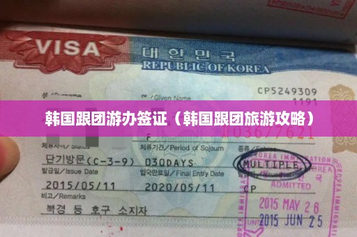 韩国跟团游办签证（韩国跟团旅游攻略）