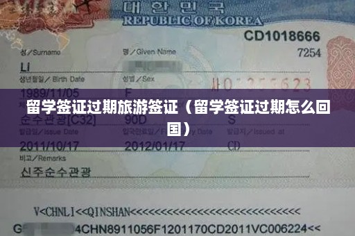 留学签证过期旅游签证（留学签证过期怎么回国）