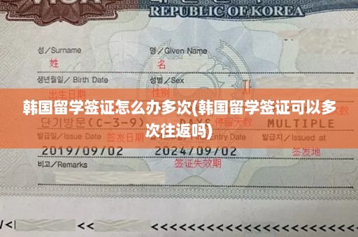 韩国留学签证怎么办多次(韩国留学签证可以多次往返吗)