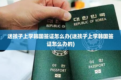 送孩子上学韩国签证怎么办(送孩子上学韩国签证怎么办的)