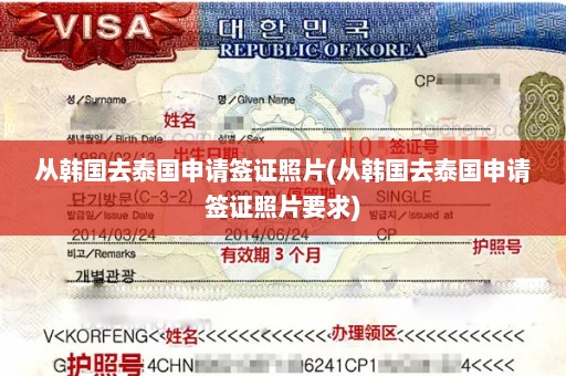 从韩国去泰国申请签证照片(从韩国去泰国申请签证照片要求)