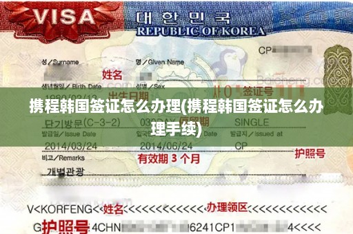 携程韩国签证怎么办理(携程韩国签证怎么办理手续)