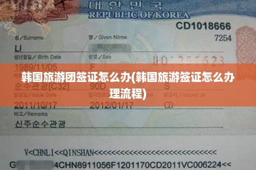 韩国旅游团签证怎么办(韩国旅游签证怎么办理流程)
