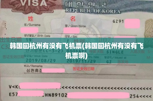 韩国回杭州有没有飞机票(韩国回杭州有没有飞机票啊)