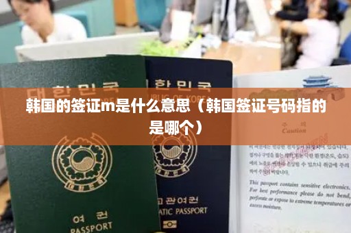 韩国的签证m是什么意思（韩国签证号码指的是哪个）