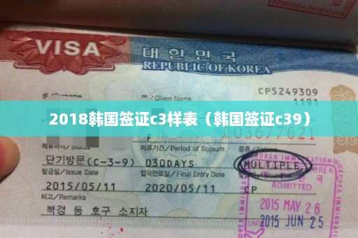 2018韩国签证c3样表（韩国签证c39）