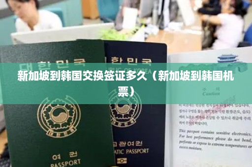 新加坡到韩国交换签证多久（新加坡到韩国机票）