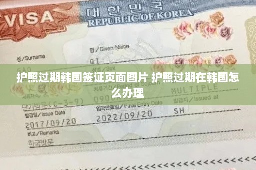 护照过期韩国签证页面图片 护照过期在韩国怎么办理
