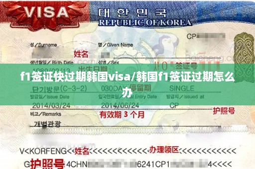 f1签证快过期韩国visa/韩国f1签证过期怎么办