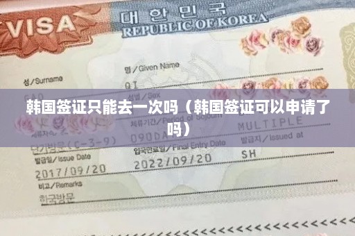 韩国签证只能去一次吗（韩国签证可以申请了吗）