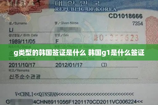 g类型的韩国签证是什么 韩国g1是什么签证