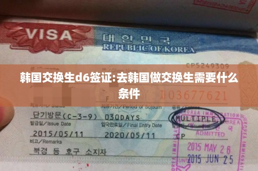 韩国交换生d6签证:去韩国做交换生需要什么条件