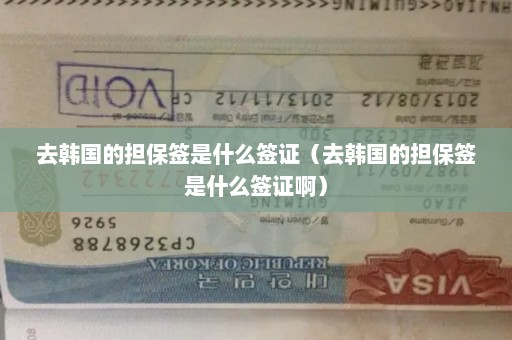 去韩国的担保签是什么签证（去韩国的担保签是什么签证啊）