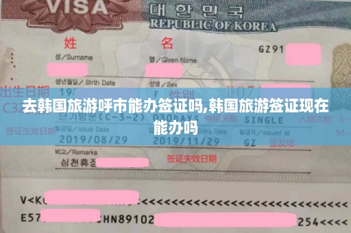 去韩国旅游呼市能办签证吗,韩国旅游签证现在能办吗