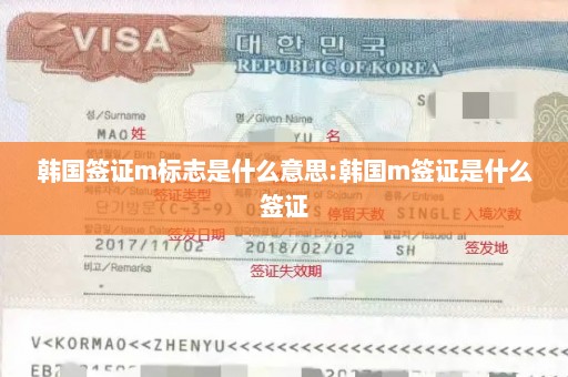 韩国签证m标志是什么意思:韩国m签证是什么签证