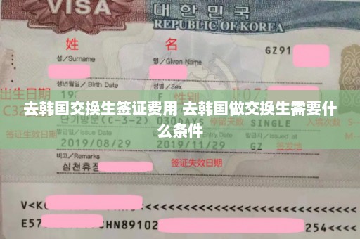 去韩国交换生签证费用 去韩国做交换生需要什么条件