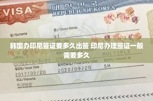 韩国办印尼签证要多久出签 印尼办理签证一般需要多久