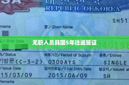 无职人员韩国5年往返签证