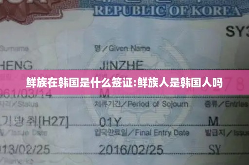 鲜族在韩国是什么签证:鲜族人是韩国人吗