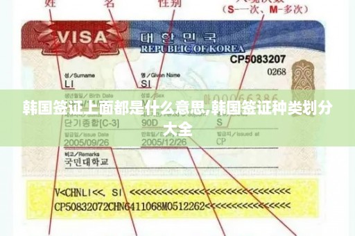 韩国签证上面都是什么意思,韩国签证种类划分大全