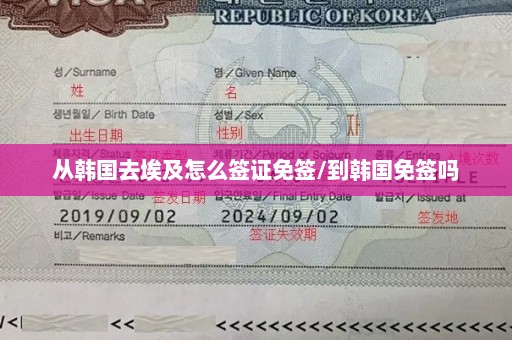 从韩国去埃及怎么签证免签/到韩国免签吗