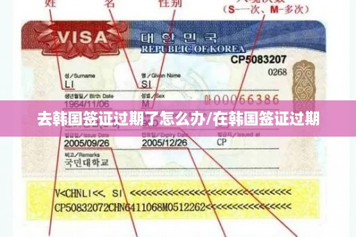 去韩国签证过期了怎么办/在韩国签证过期