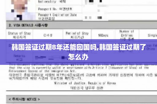 韩国签证过期8年还能回国吗,韩国签证过期了怎么办