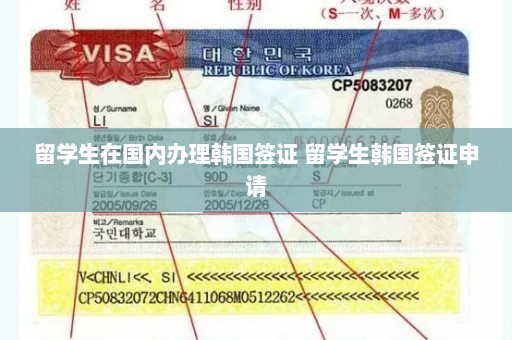 留学生在国内办理韩国签证 留学生韩国签证申请