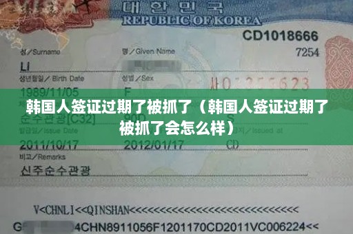 韩国人签证过期了被抓了（韩国人签证过期了被抓了会怎么样）