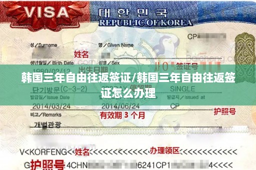韩国三年自由往返签证/韩国三年自由往返签证怎么办理