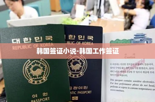 韩国签证小说-韩国工作签证