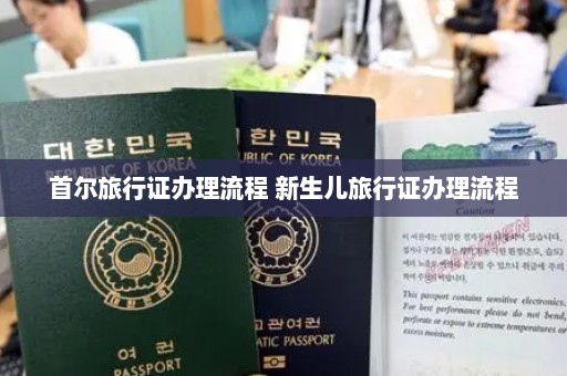首尔旅行证办理流程 新生儿旅行证办理流程
