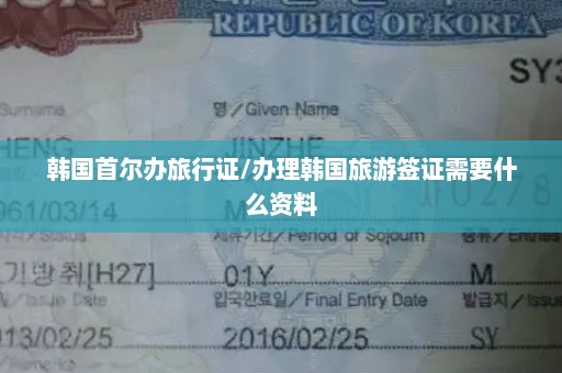 韩国首尔办旅行证/办理韩国旅游签证需要什么资料